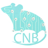 CNB Labs